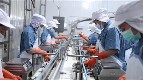 Food Packer Jobs in Kuwait WITH FREE VISA – Apply Today